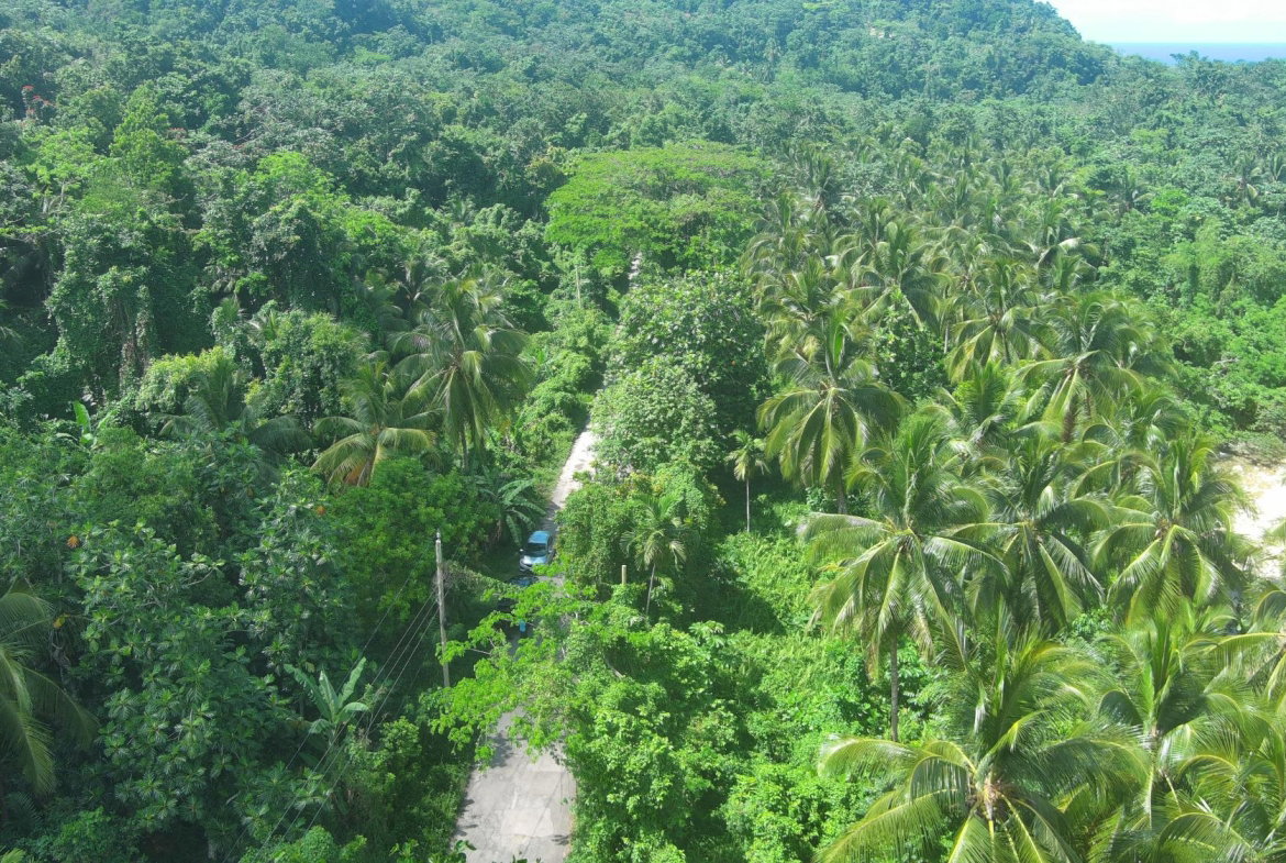 Twenty-Fourth image of Woodstock Estate Buff Bay in Buff Bay, Portland, Jamaica - property is For Sale