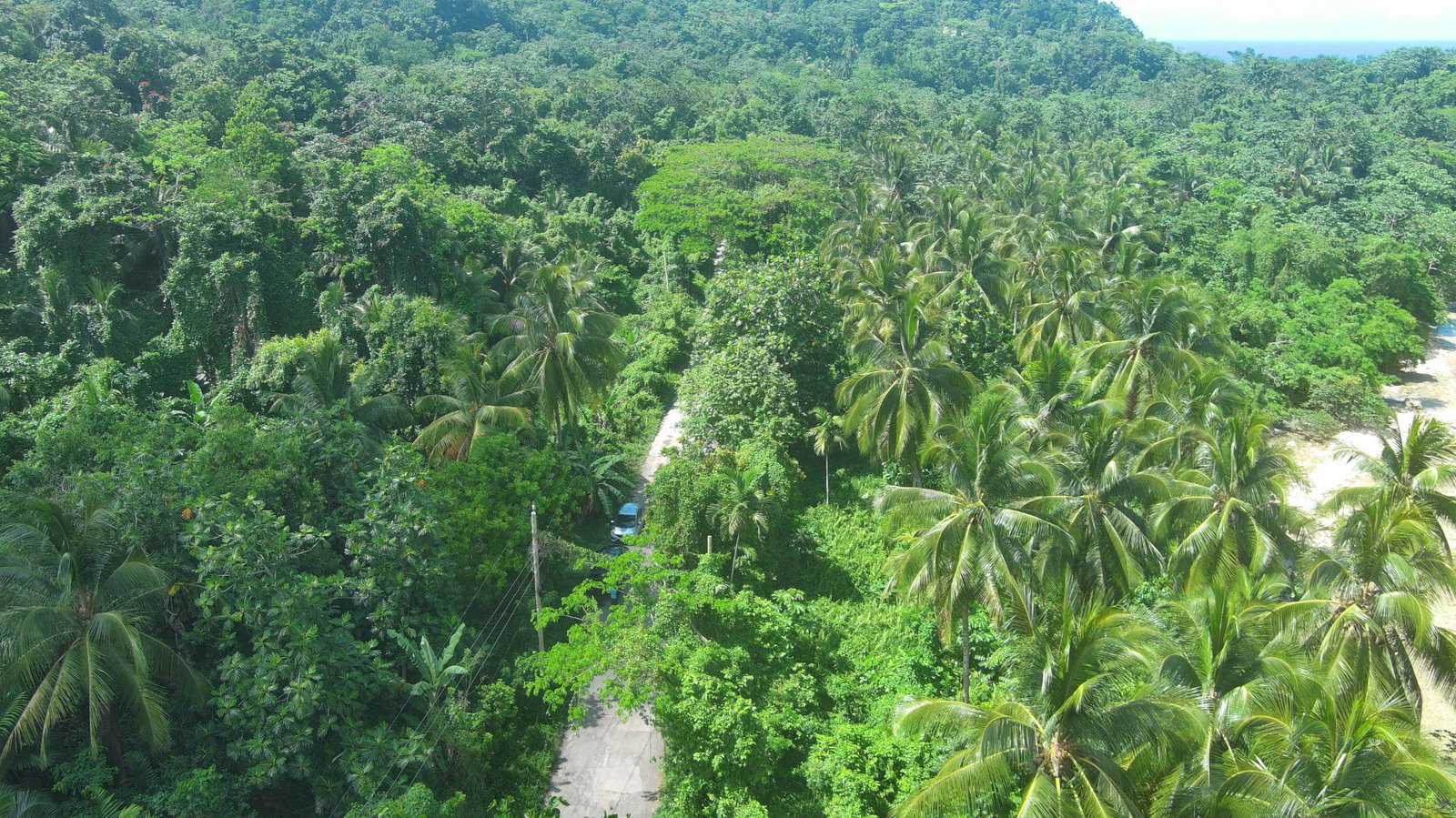 Twenty-Fourth image of Woodstock Estate Buff Bay in Buff Bay, Portland, Jamaica - property is For Sale