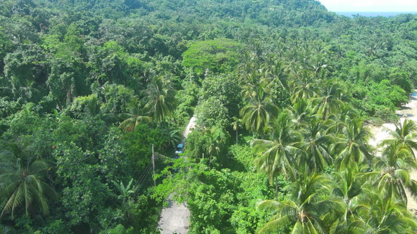 Twenty-Fourth image of Woodstock Estate Buff Bay in Buff Bay, Portland, Jamaica - property is For Sale