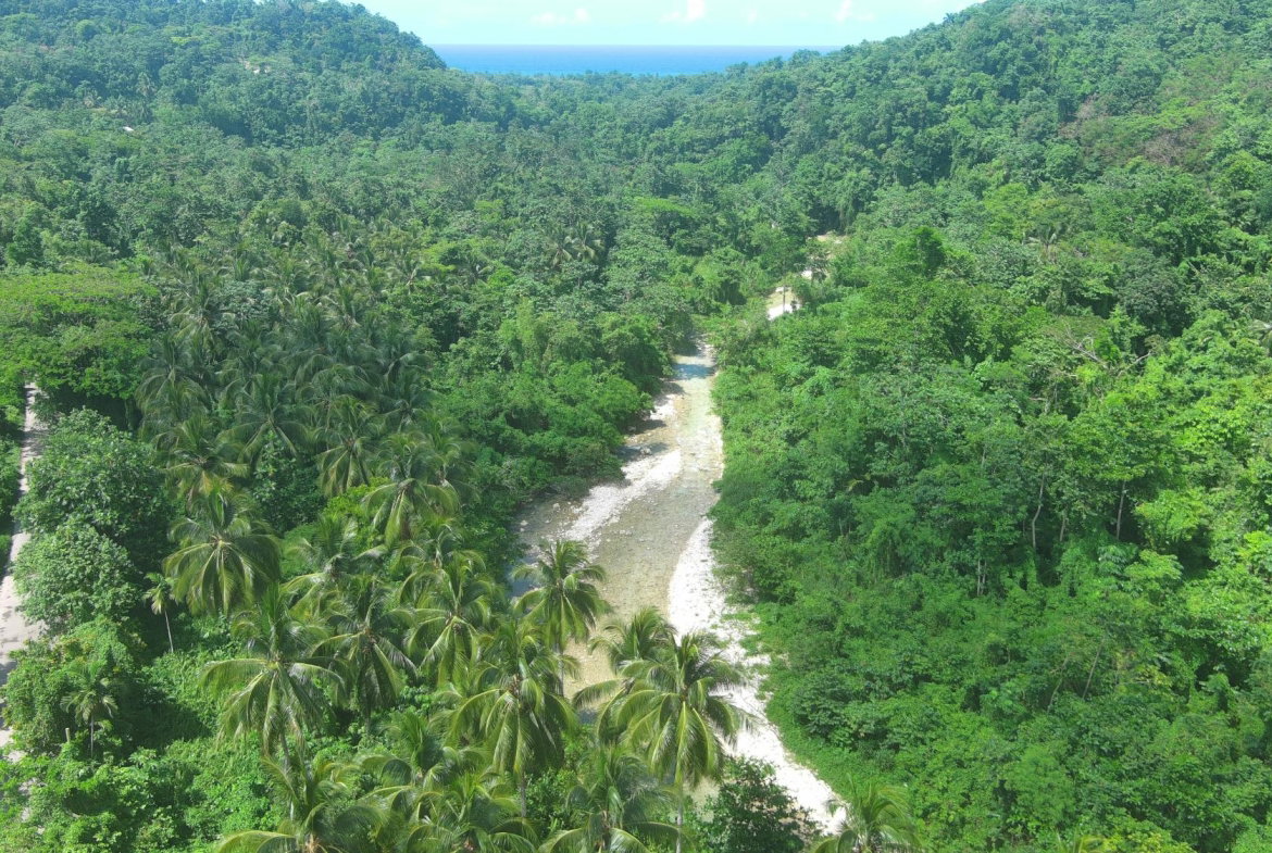 Twenty-Fifth image of Woodstock Estate Buff Bay in Buff Bay, Portland, Jamaica - property is For Sale