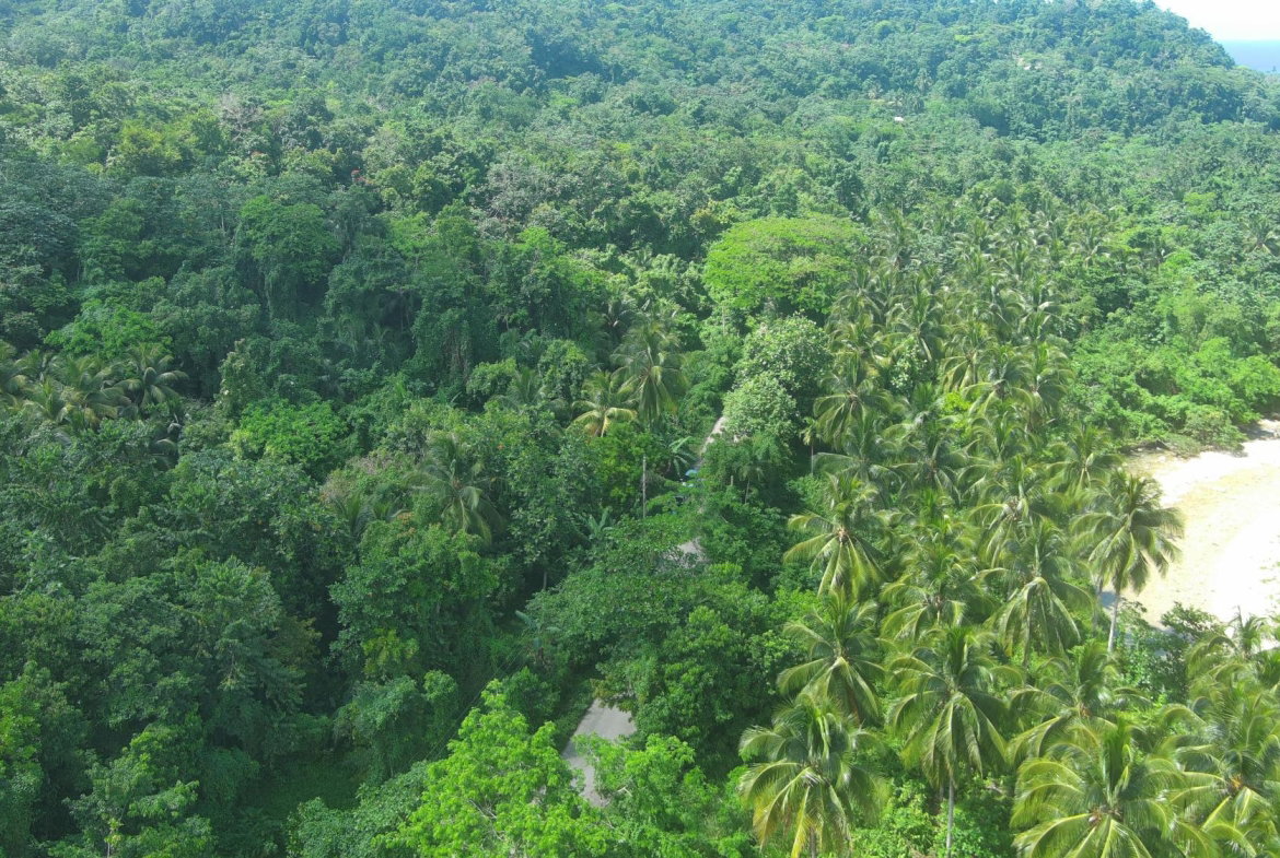 Twenty-Sixth image of Woodstock Estate Buff Bay in Buff Bay, Portland, Jamaica - property is For Sale