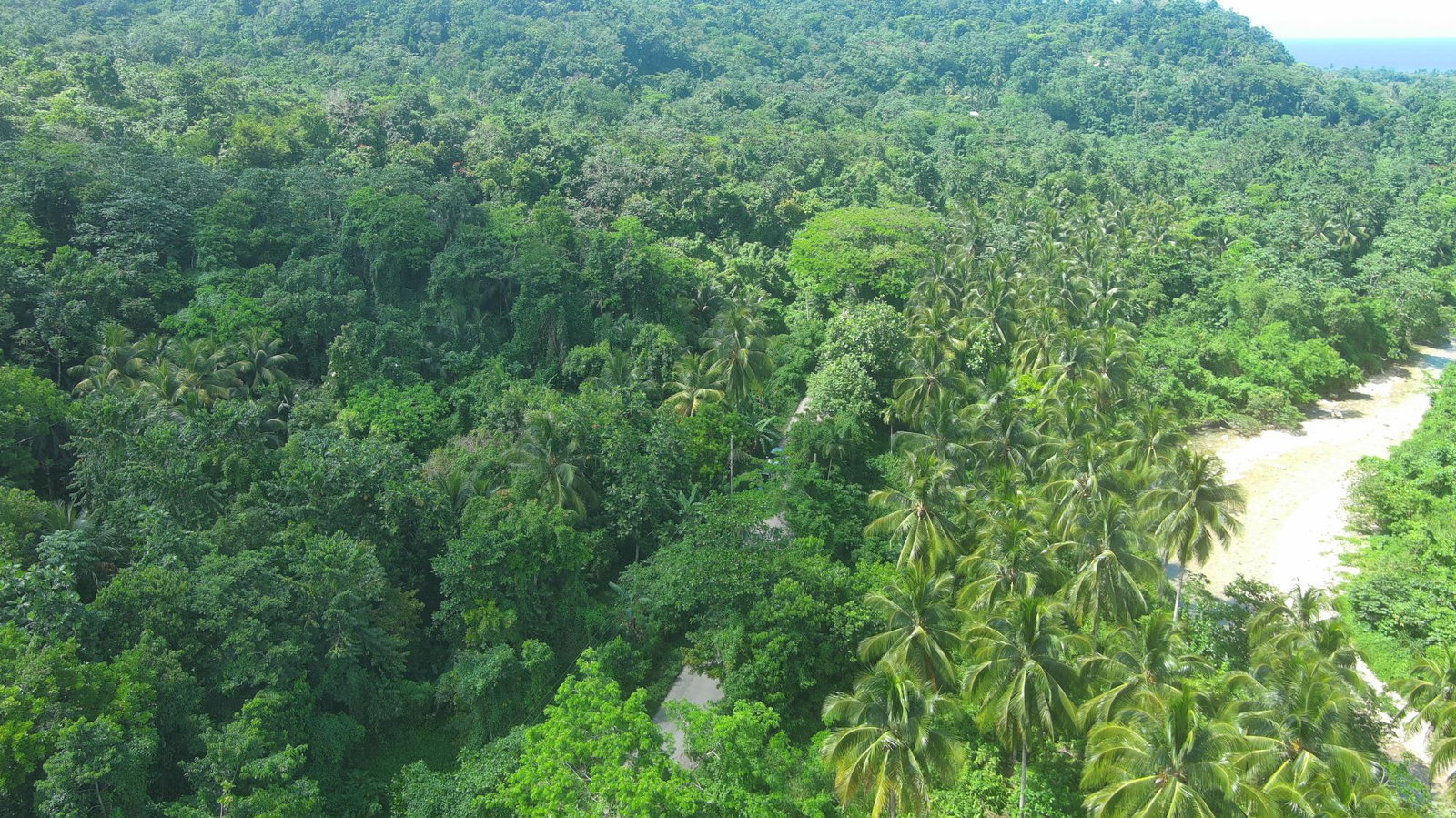 Twenty-Sixth image of Woodstock Estate Buff Bay in Buff Bay, Portland, Jamaica - property is For Sale