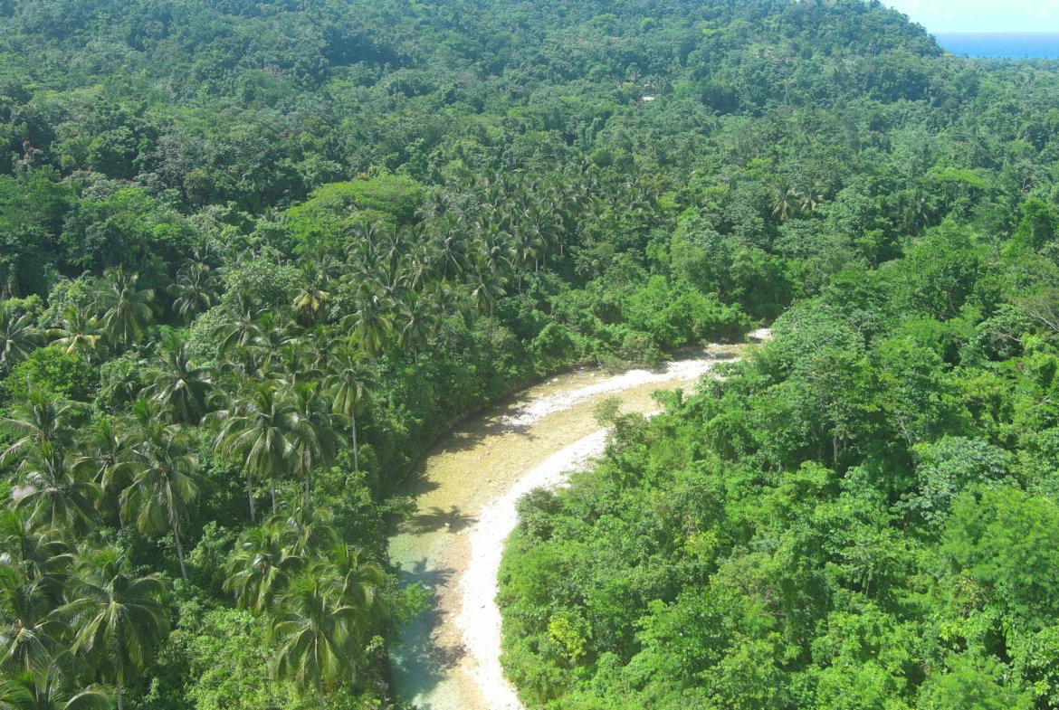 Twenty-Seventh image of Woodstock Estate Buff Bay in Buff Bay, Portland, Jamaica - property is For Sale