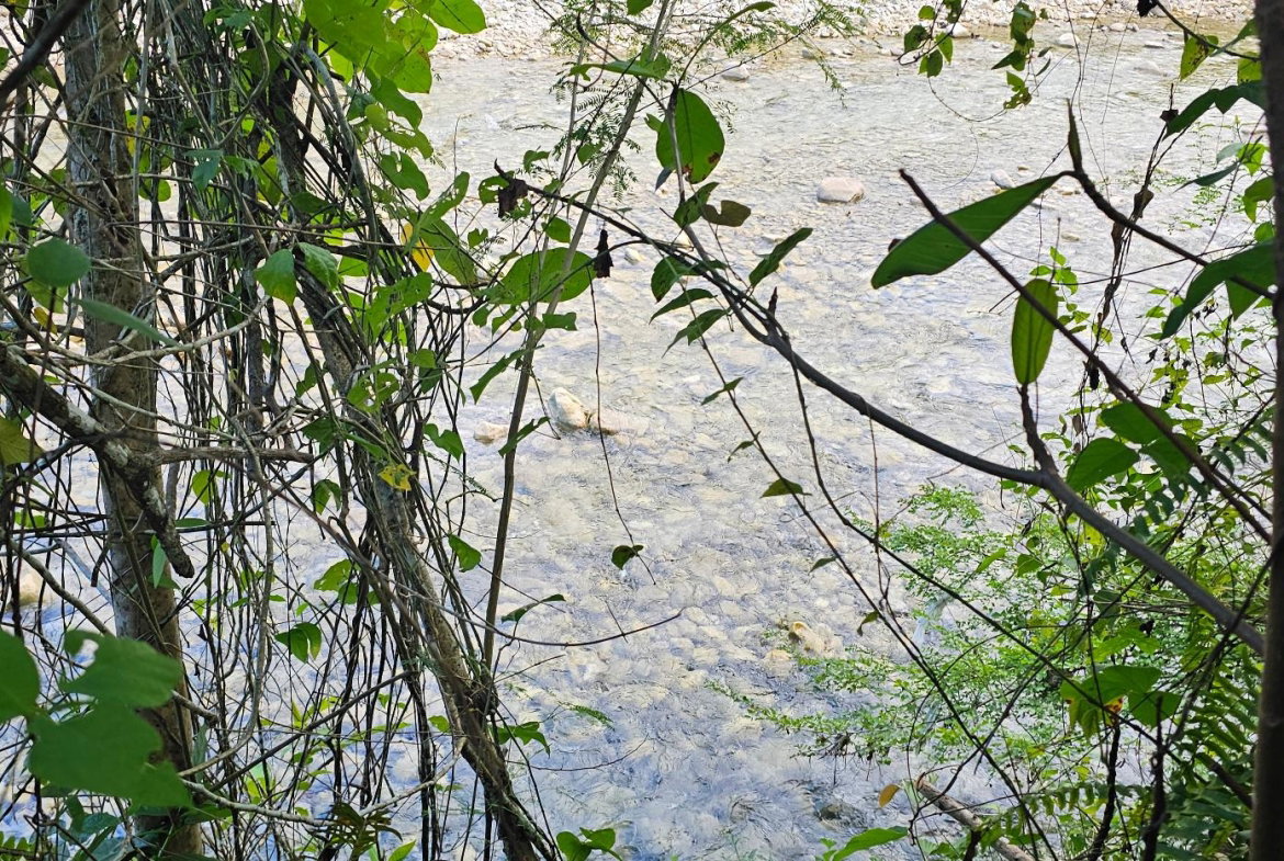 Fifth image of Woodstock Estate Buff Bay in Buff Bay, Portland, Jamaica - property is For Sale