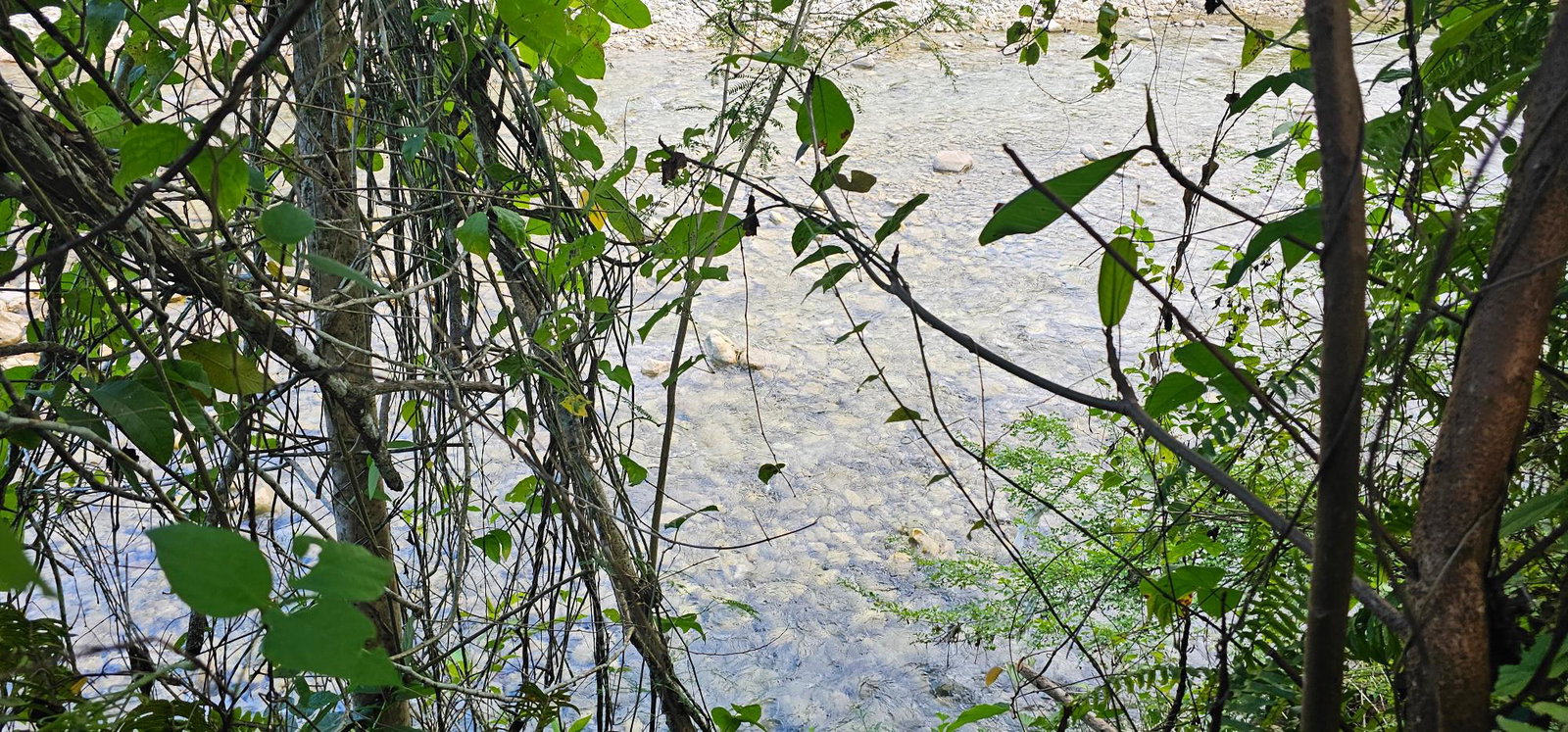 Fifth image of Woodstock Estate Buff Bay in Buff Bay, Portland, Jamaica - property is For Sale