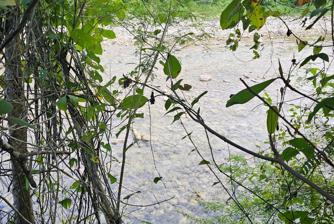 Sixth image of Woodstock Estate Buff Bay in Buff Bay, Portland, Jamaica - property is For Sale