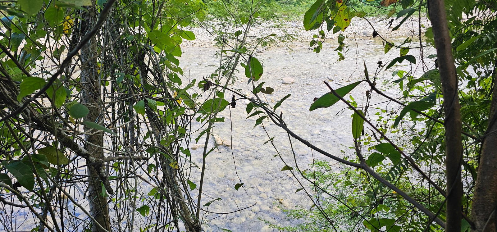 Sixth image of Woodstock Estate Buff Bay in Buff Bay, Portland, Jamaica - property is For Sale