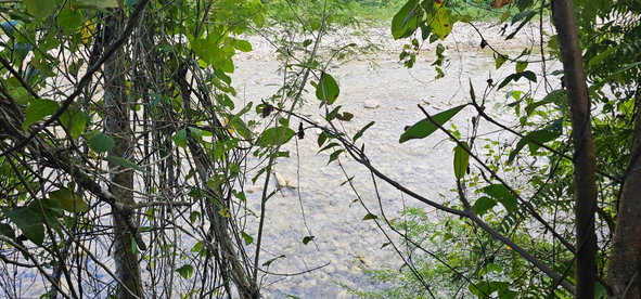 Sixth image of Woodstock Estate Buff Bay in Buff Bay, Portland, Jamaica - property is For Sale