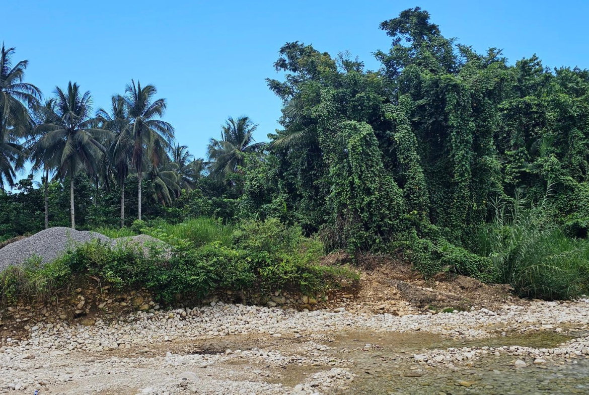 Seventh image of Woodstock Estate Buff Bay in Buff Bay, Portland, Jamaica - property is For Sale