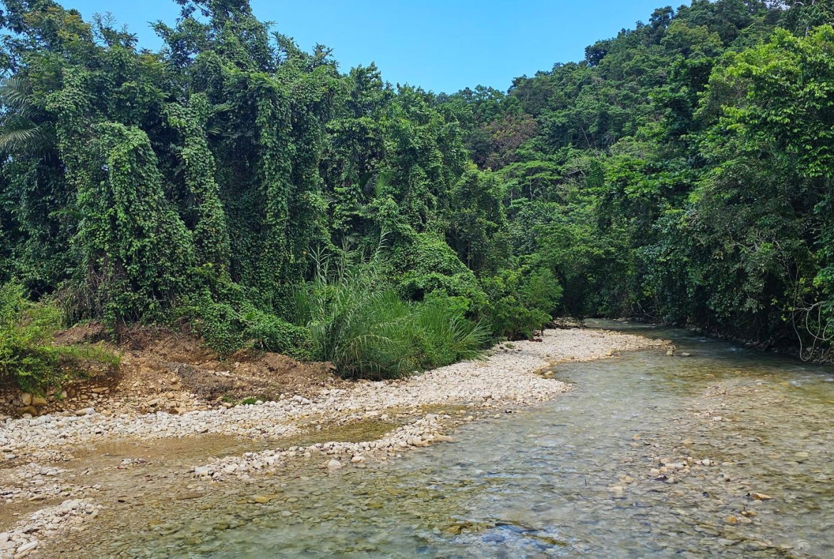 Eighth image of Woodstock Estate Buff Bay in Buff Bay, Portland, Jamaica - property is For Sale