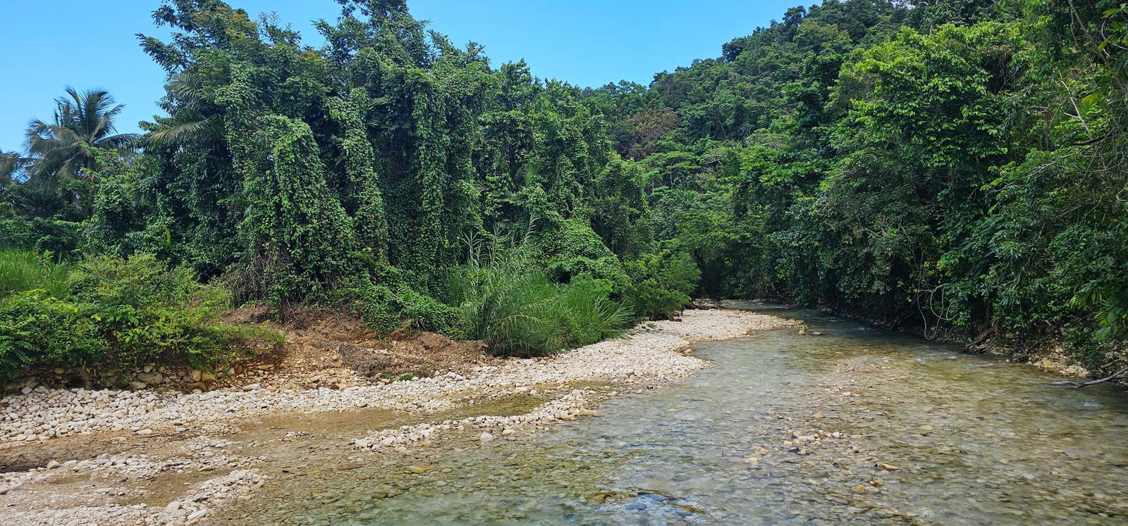 Eighth image of Woodstock Estate Buff Bay in Buff Bay, Portland, Jamaica - property is For Sale