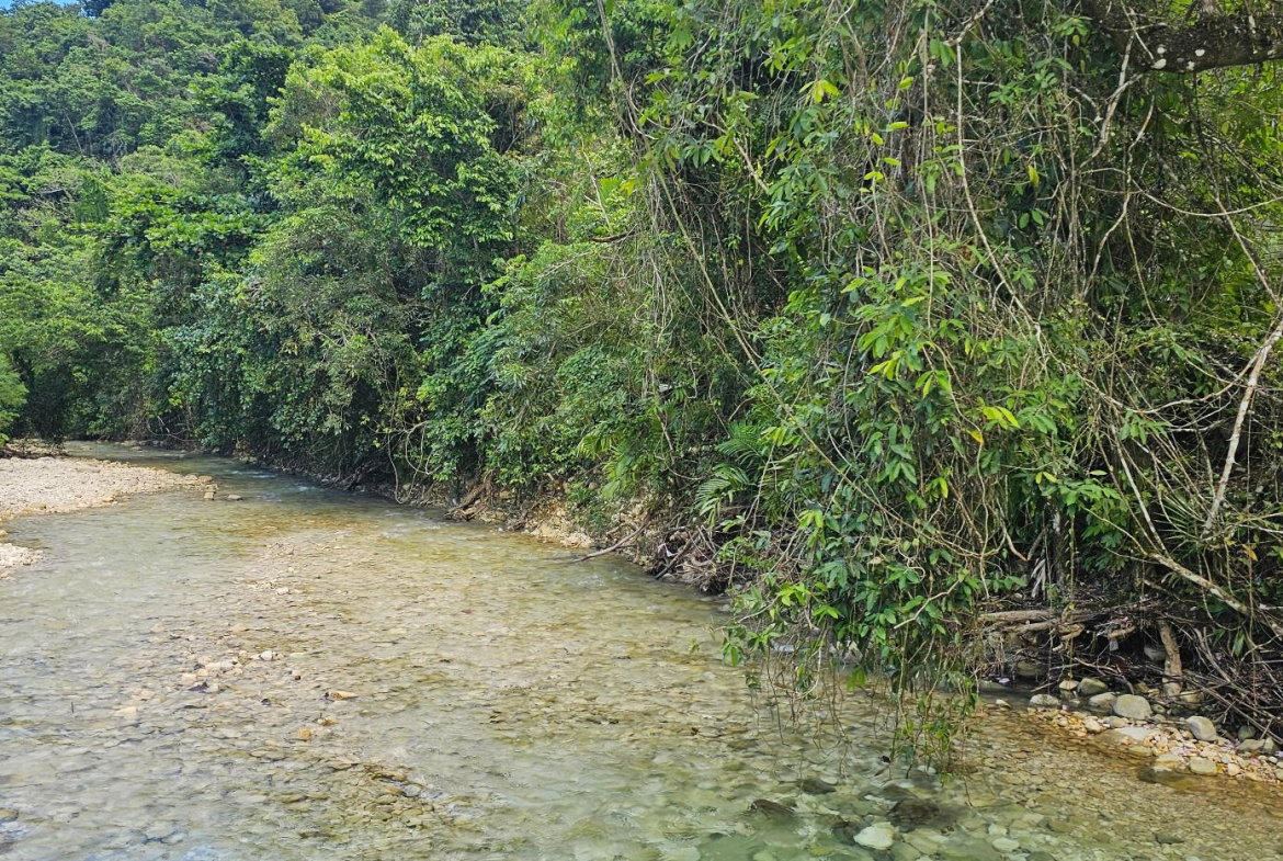 Ninth image of Woodstock Estate Buff Bay in Buff Bay, Portland, Jamaica - property is For Sale