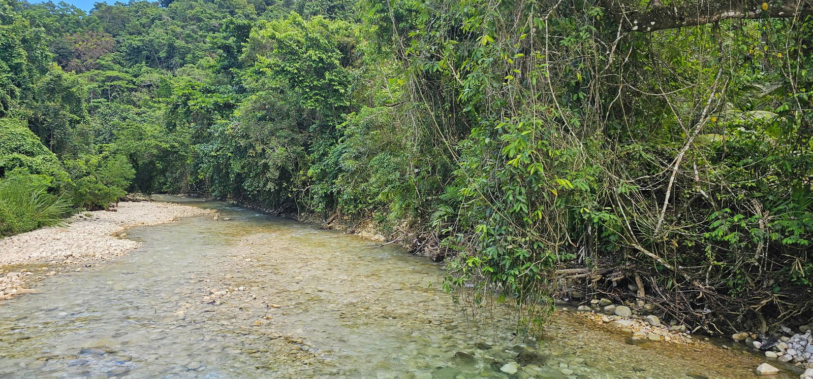 Ninth image of Woodstock Estate Buff Bay in Buff Bay, Portland, Jamaica - property is For Sale