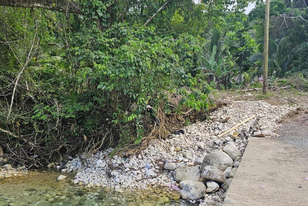 Tenth image of Woodstock Estate Buff Bay in Buff Bay, Portland, Jamaica - property is For Sale