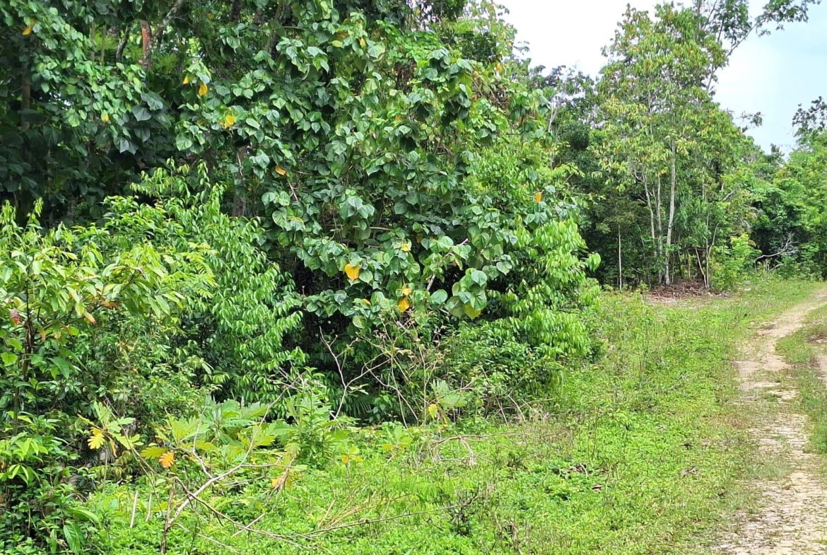 Second image of 21- Sligoville Main Road in Sligoville, St. Catherine, Jamaica - property is For Sale