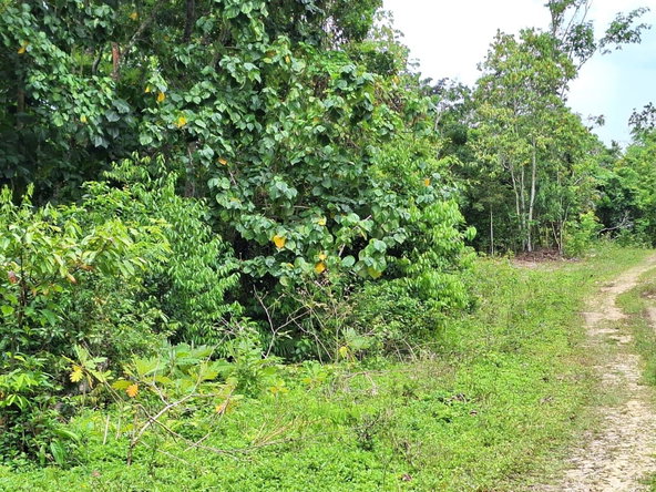 Second image of 21- Sligoville Main Road in Sligoville, St. Catherine, Jamaica - property is For Sale
