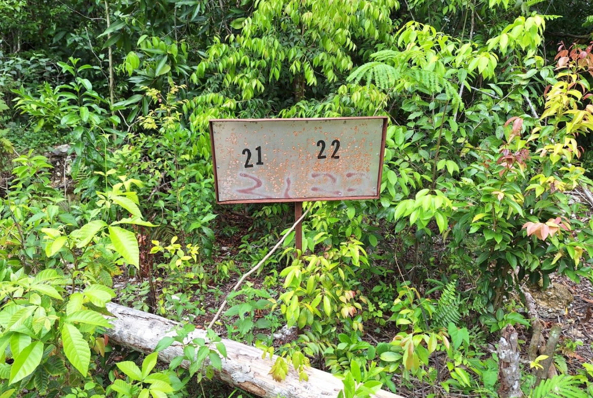 Eleventh image of 21- Sligoville Main Road in Sligoville, St. Catherine, Jamaica - property is For Sale