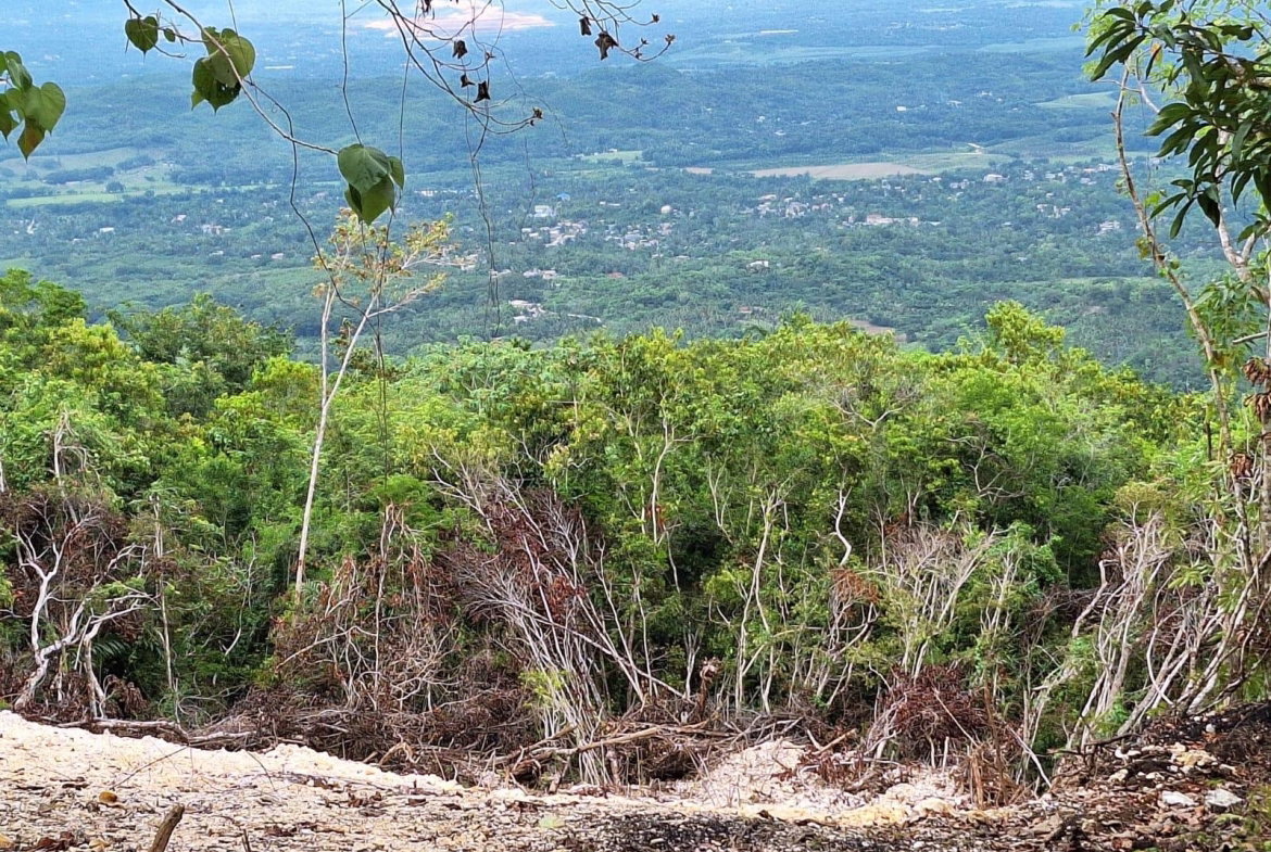 Twelfth image of 21- Sligoville Main Road in Sligoville, St. Catherine, Jamaica - property is For Sale
