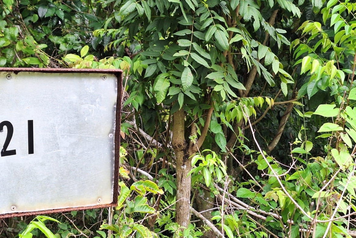 First image of 21- Sligoville Main Road in Sligoville, St. Catherine, Jamaica - property is For Sale