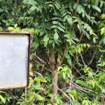 First image of 21- Sligoville Main Road in Sligoville, St. Catherine, Jamaica - property is For Sale