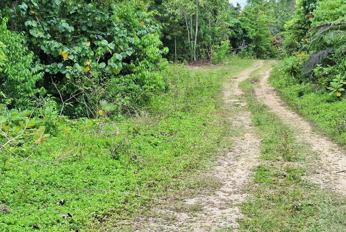 Third image of 21- Sligoville Main Road in Sligoville, St. Catherine, Jamaica - property is For Sale
