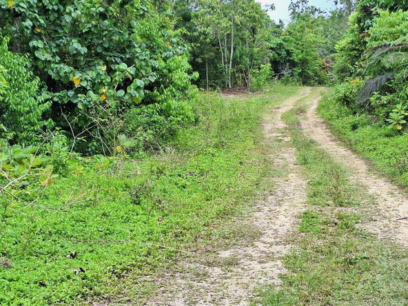 Third image of 21- Sligoville Main Road in Sligoville, St. Catherine, Jamaica - property is For Sale