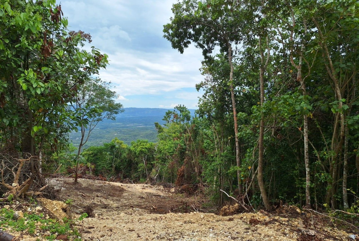 Fourth image of 21- Sligoville Main Road in Sligoville, St. Catherine, Jamaica - property is For Sale