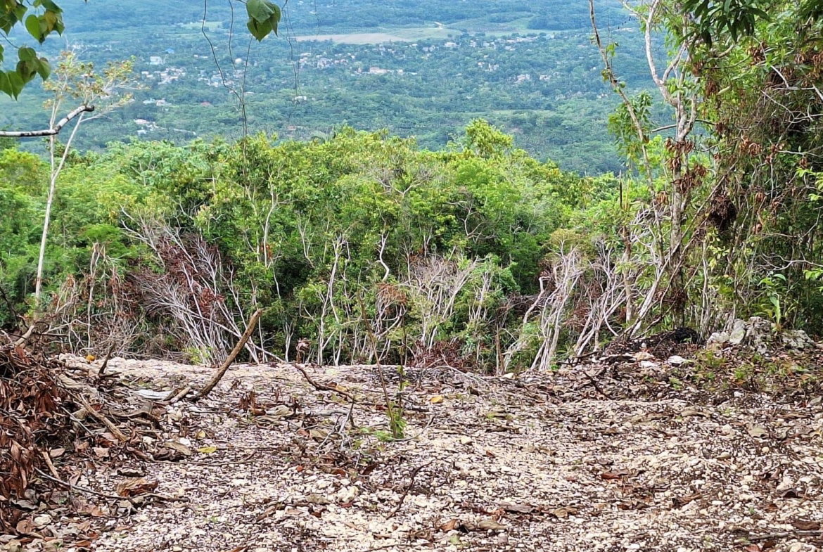 Fifth image of 21- Sligoville Main Road in Sligoville, St. Catherine, Jamaica - property is For Sale
