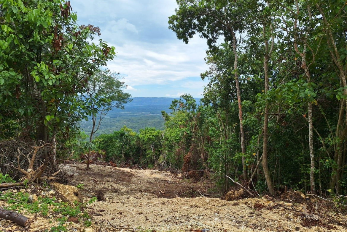 Sixth image of 21- Sligoville Main Road in Sligoville, St. Catherine, Jamaica - property is For Sale