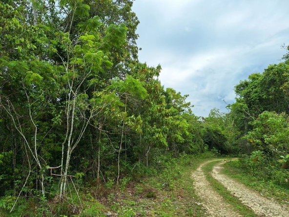 Seventh image of 21- Sligoville Main Road in Sligoville, St. Catherine, Jamaica - property is For Sale