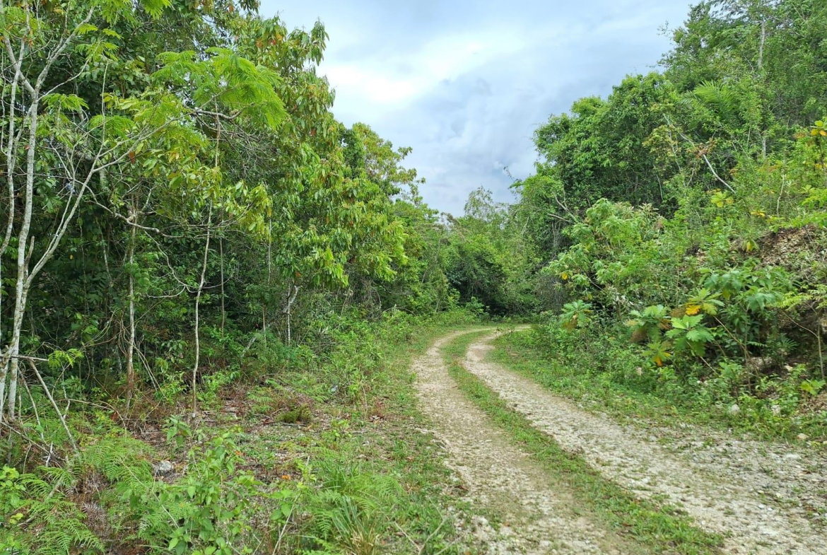 Eighth image of 21- Sligoville Main Road in Sligoville, St. Catherine, Jamaica - property is For Sale