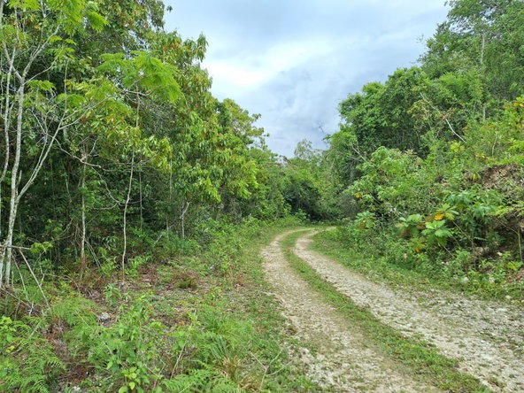 Eighth image of 21- Sligoville Main Road in Sligoville, St. Catherine, Jamaica - property is For Sale
