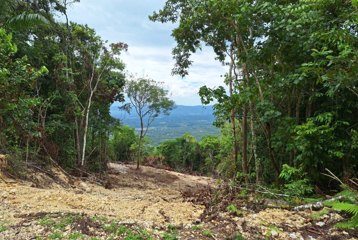 Ninth image of 21- Sligoville Main Road in Sligoville, St. Catherine, Jamaica - property is For Sale