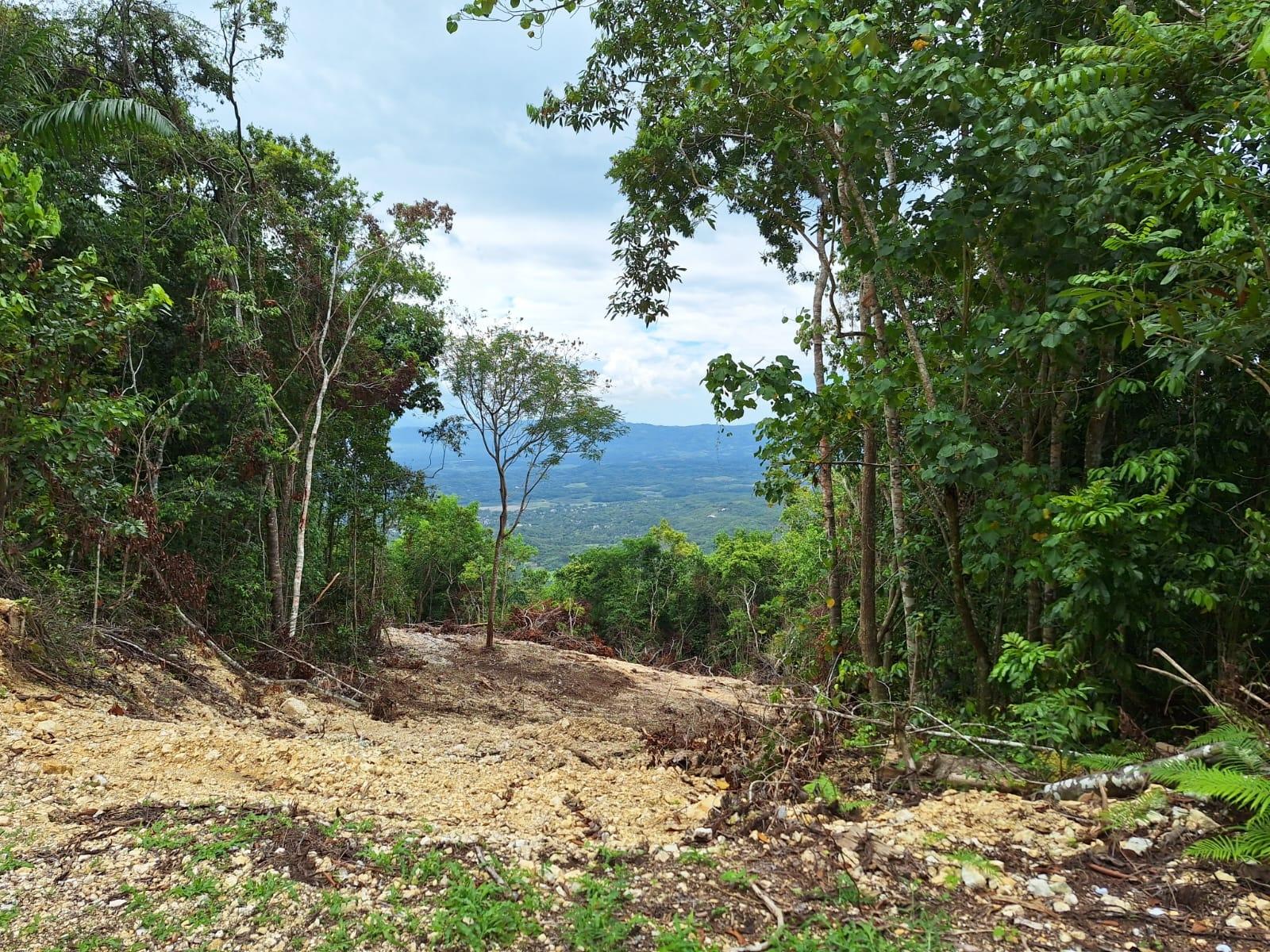 Ninth image of 21- Sligoville Main Road in Sligoville, St. Catherine, Jamaica - property is For Sale