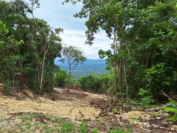 Ninth image of 21- Sligoville Main Road in Sligoville, St. Catherine, Jamaica - property is For Sale