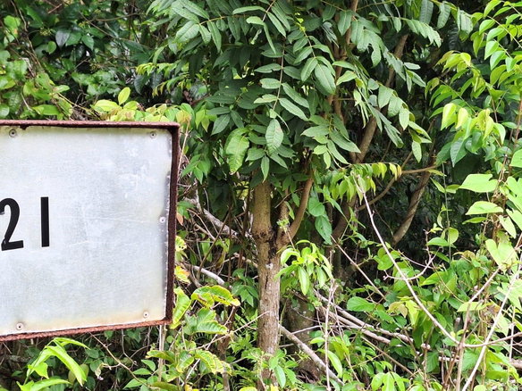 First image of 21- Sligoville Main Road in Sligoville, St. Catherine, Jamaica - property is For Sale