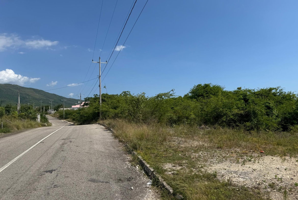 Sixth image of 163 Palm Brook Estate in Lacovia, St. Elizabeth, Jamaica - property is For Sale