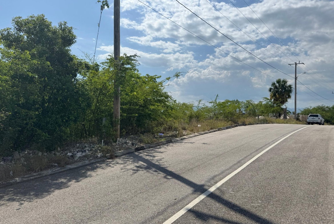 Seventh image of 163 Palm Brook Estate in Lacovia, St. Elizabeth, Jamaica - property is For Sale