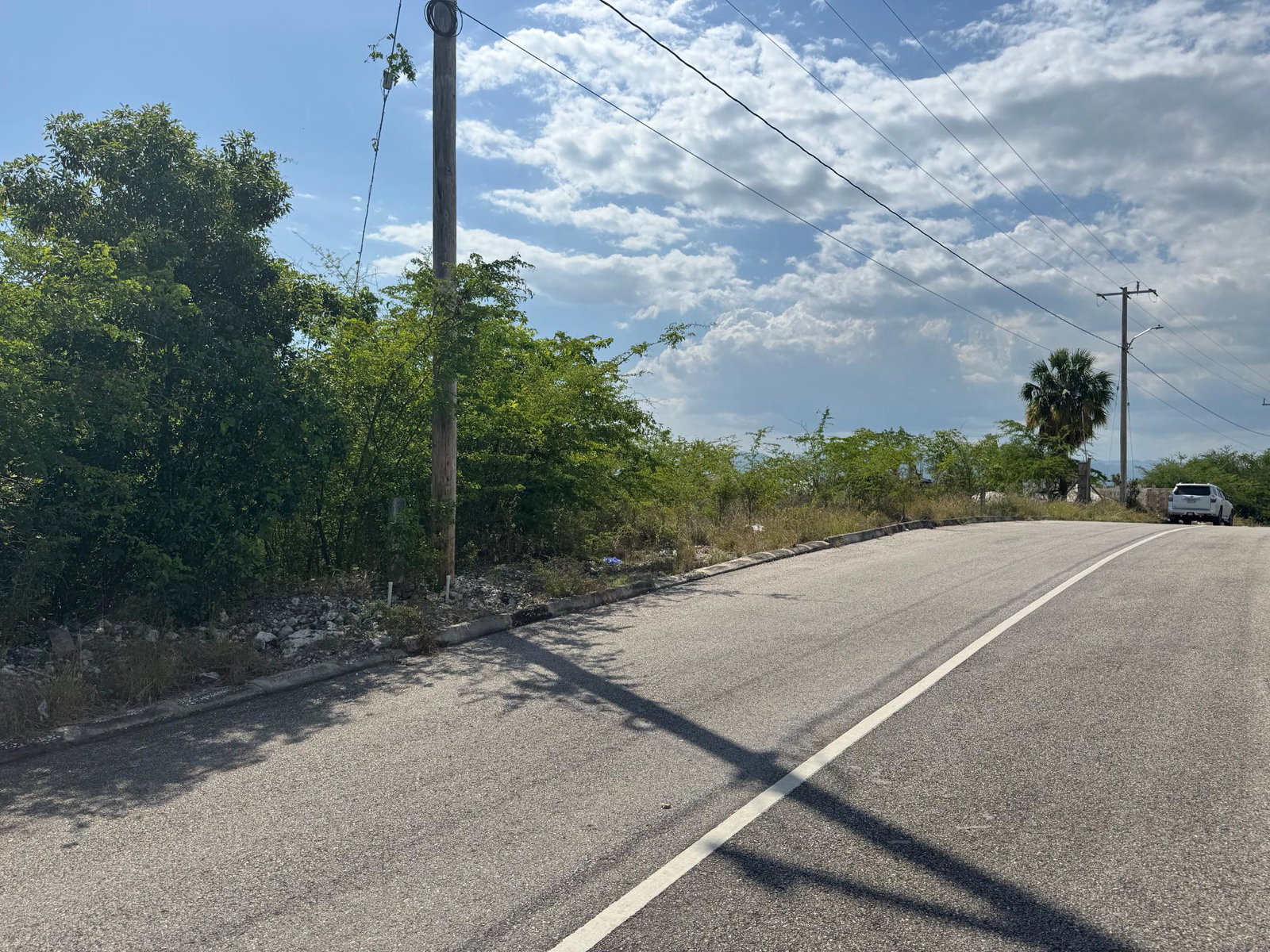 Seventh image of 163 Palm Brook Estate in Lacovia, St. Elizabeth, Jamaica - property is For Sale