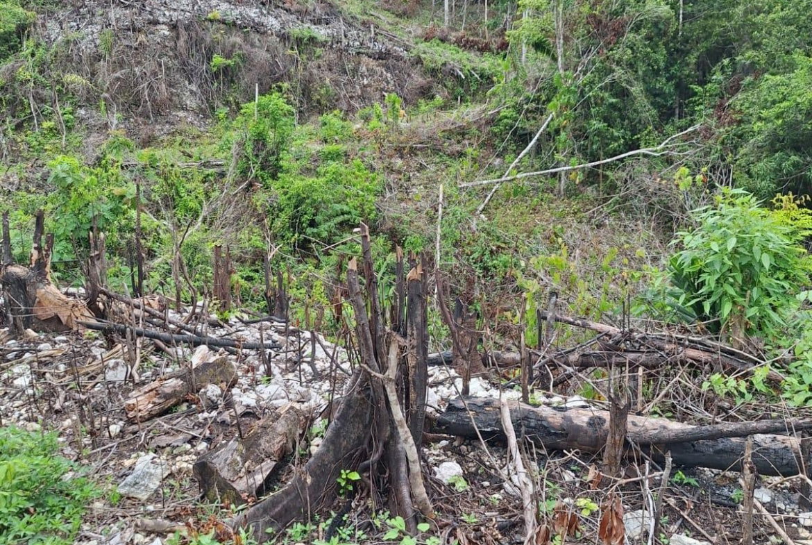 Second image of 22- Sligoville Main Road in Sligoville, St. Catherine, Jamaica - property is For Sale