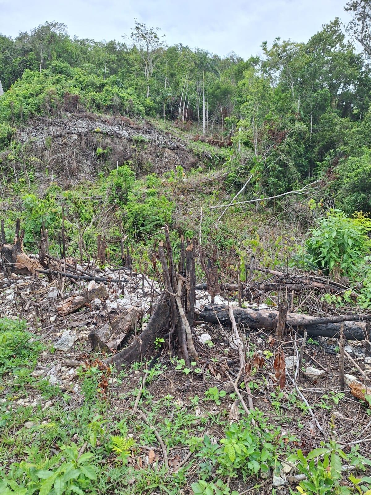 Second image of 22- Sligoville Main Road in Sligoville, St. Catherine, Jamaica - property is For Sale