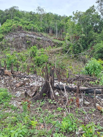 Second image of 22- Sligoville Main Road in Sligoville, St. Catherine, Jamaica - property is For Sale
