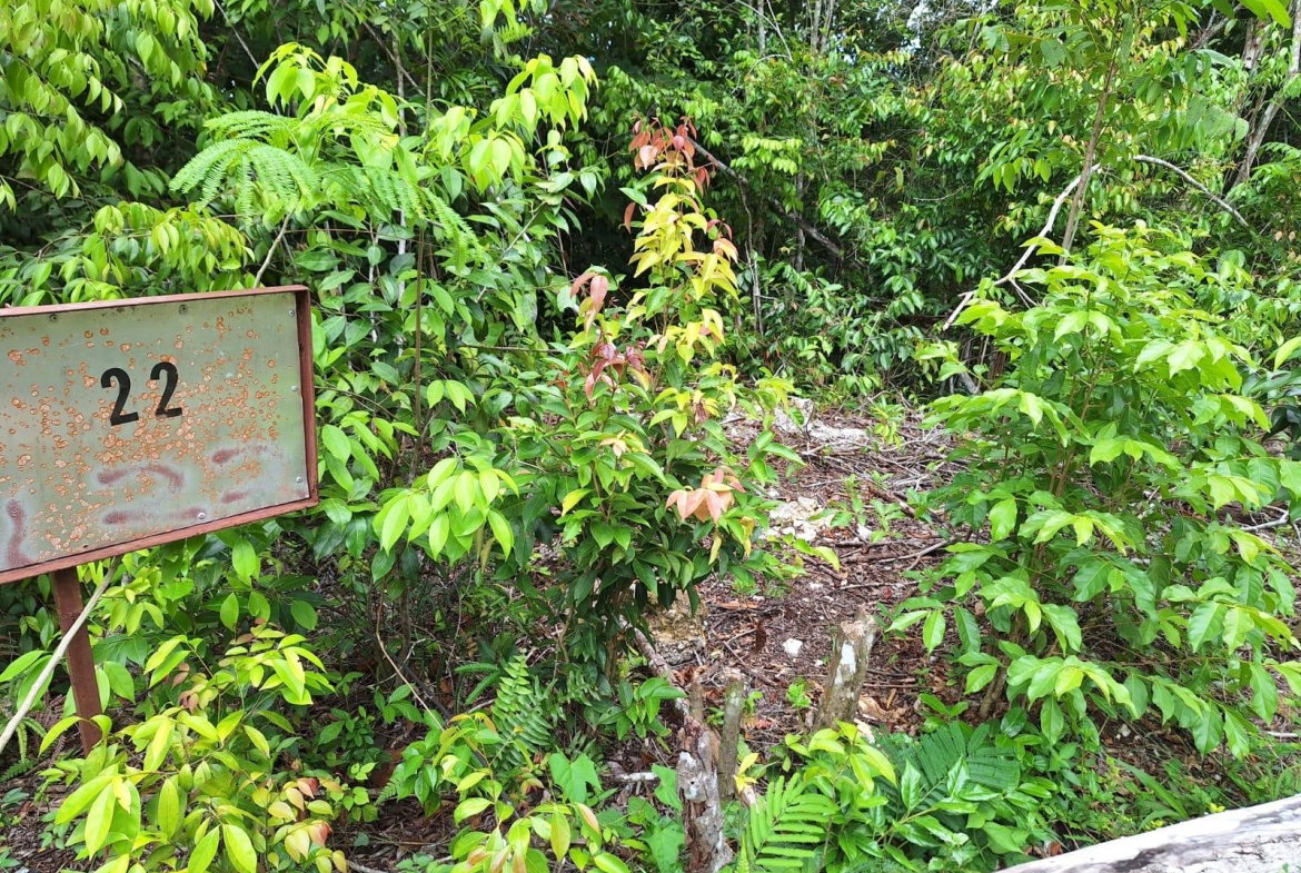 First image of 22- Sligoville Main Road in Sligoville, St. Catherine, Jamaica - property is For Sale