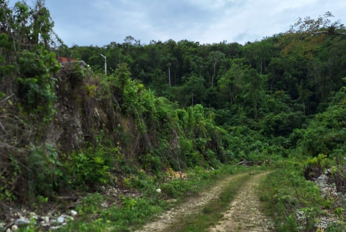 Third image of 22- Sligoville Main Road in Sligoville, St. Catherine, Jamaica - property is For Sale