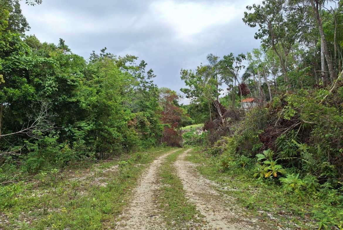 Fifth image of 22- Sligoville Main Road in Sligoville, St. Catherine, Jamaica - property is For Sale