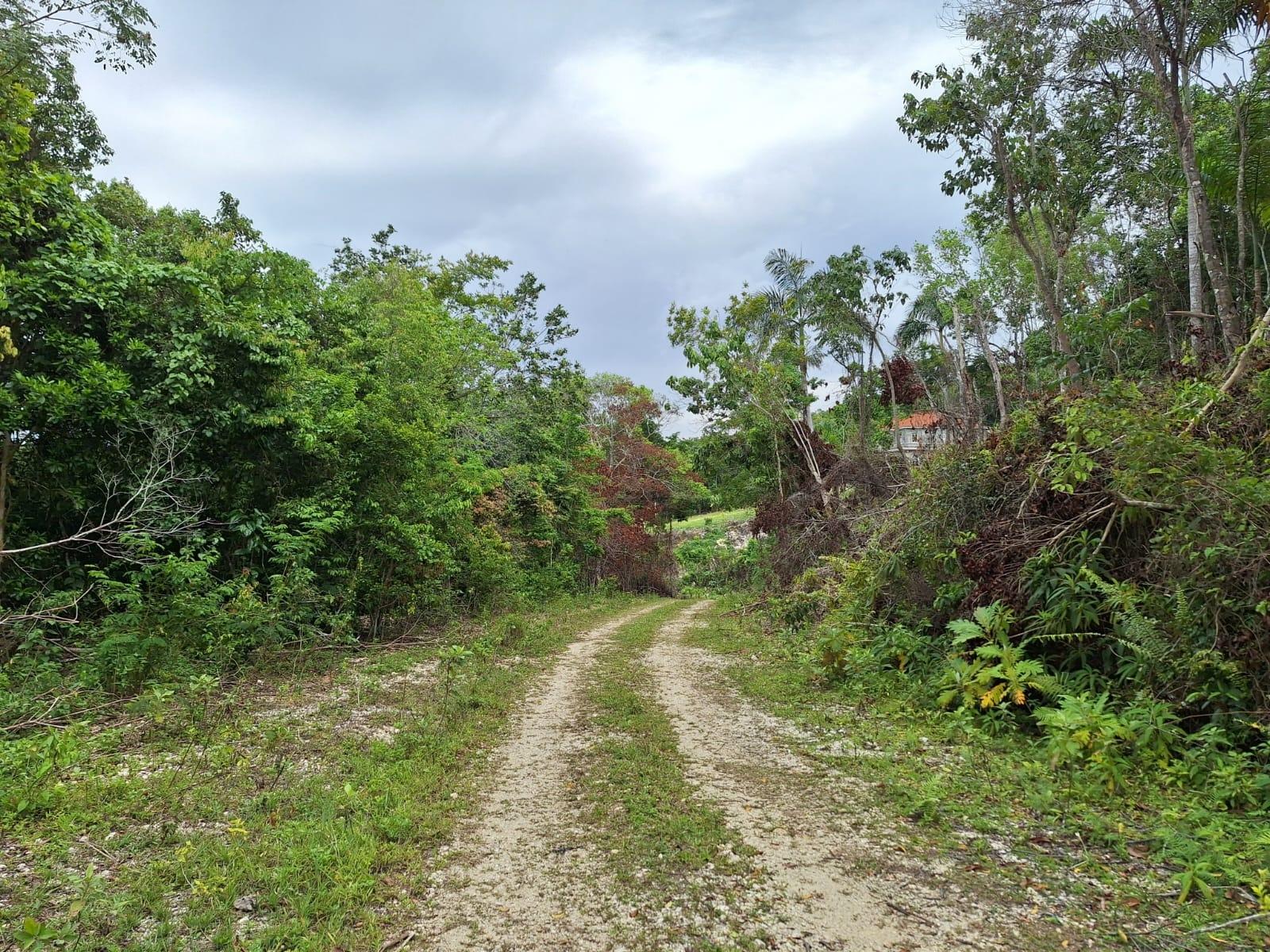 Fifth image of 22- Sligoville Main Road in Sligoville, St. Catherine, Jamaica - property is For Sale
