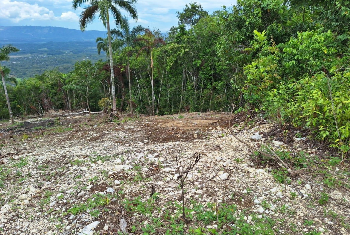 Sixth image of 22- Sligoville Main Road in Sligoville, St. Catherine, Jamaica - property is For Sale