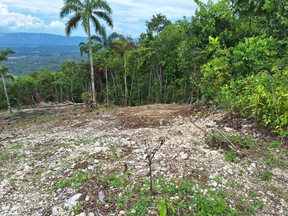 Sixth image of 22- Sligoville Main Road in Sligoville, St. Catherine, Jamaica - property is For Sale