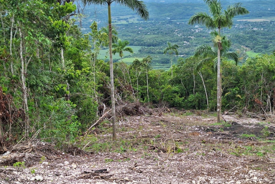 Seventh image of 22- Sligoville Main Road in Sligoville, St. Catherine, Jamaica - property is For Sale