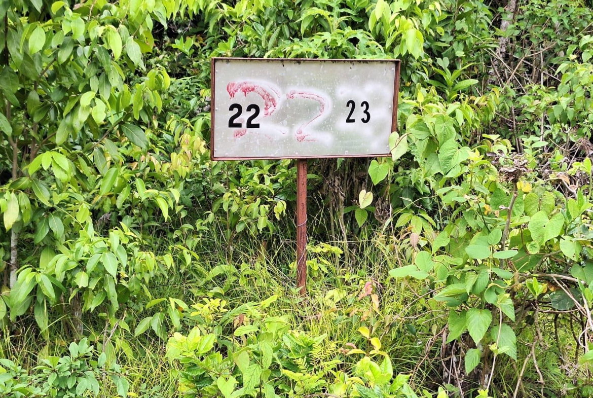 Eighth image of 22- Sligoville Main Road in Sligoville, St. Catherine, Jamaica - property is For Sale